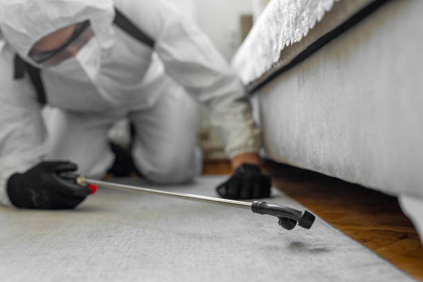 Professional Bed Bug Control technician working in Roanoke, IN