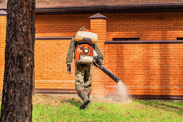 Trusted Cockroach Control service in Roanoke, IN - Nex Pest Control